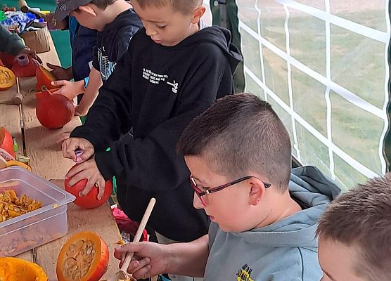 Grafika 7: Wyprawa IIA do Farmy Alexa