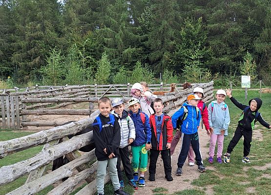 Grafika 15: Wyprawa IIA do Farmy Alexa