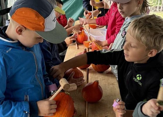 Grafika 17: Wyprawa IIA do Farmy Alexa