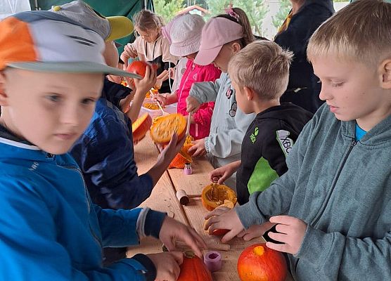 Grafika 26: Wyprawa IIA do Farmy Alexa