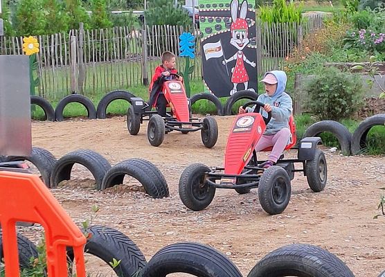 Grafika 27: Wyprawa IIA do Farmy Alexa