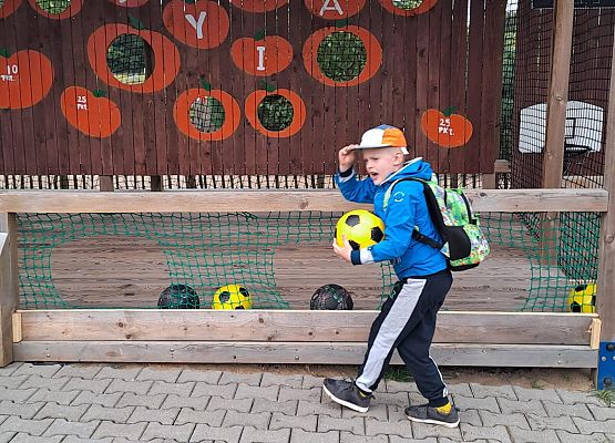 Grafika 28: Wyprawa IIA do Farmy Alexa