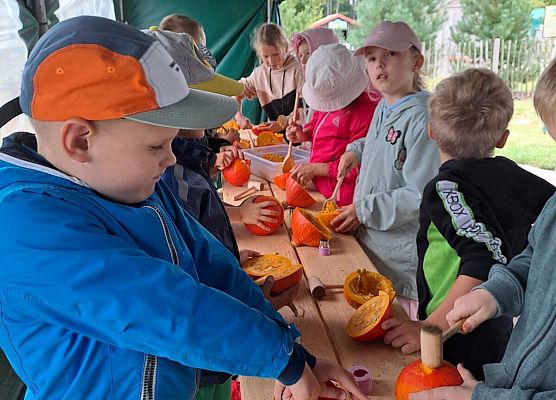 Grafika 29: Wyprawa IIA do Farmy Alexa