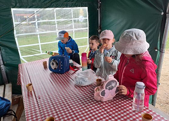 Grafika 34: Wyprawa IIA do Farmy Alexa