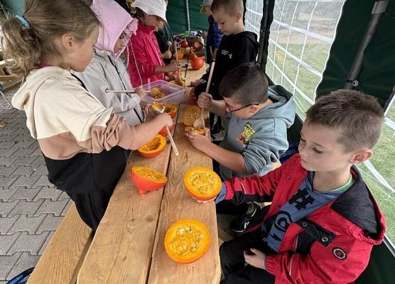 Grafika 35: Wyprawa IIA do Farmy Alexa