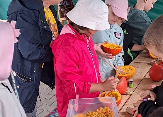 Grafika 42: Wyprawa IIA do Farmy Alexa