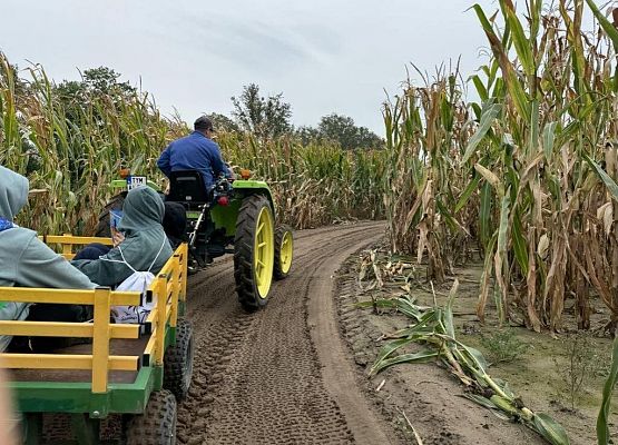 Grafika 46: Wyprawa IIA do Farmy Alexa