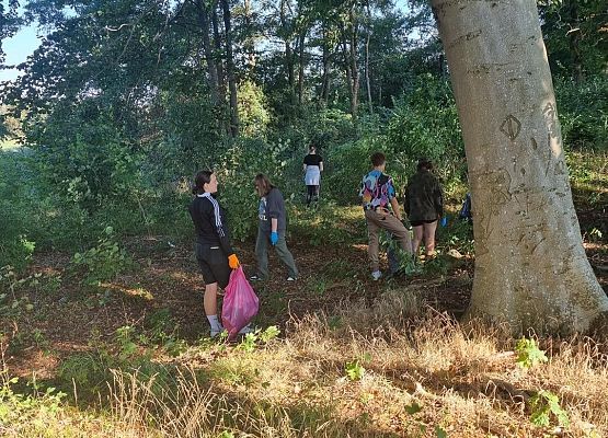 Grafika 7: Akcja Sprzątania Świata w naszej szkole