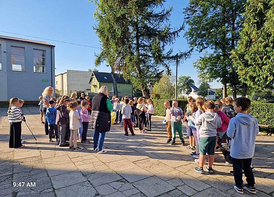 Grafika 12: Akcja Sprzątania Świata w naszej szkole