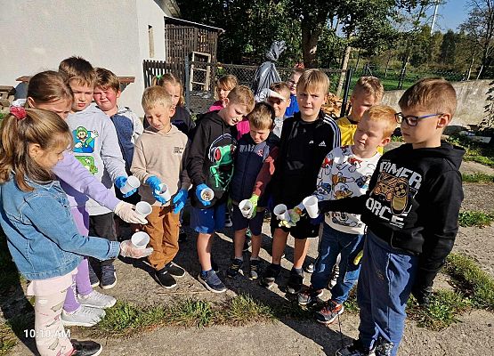 Grafika 16: Akcja Sprzątania Świata w naszej szkole