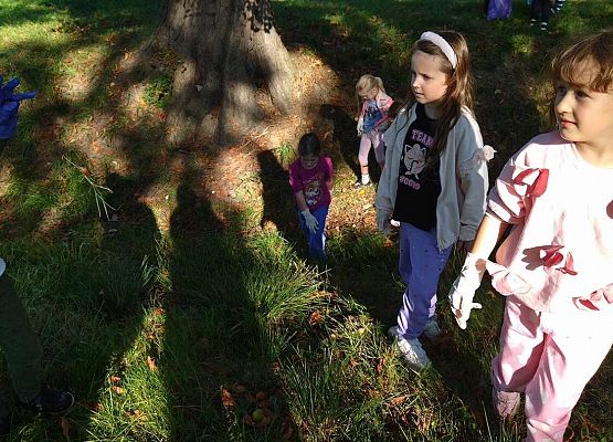 Grafika 30: Akcja Sprzątania Świata w naszej szkole