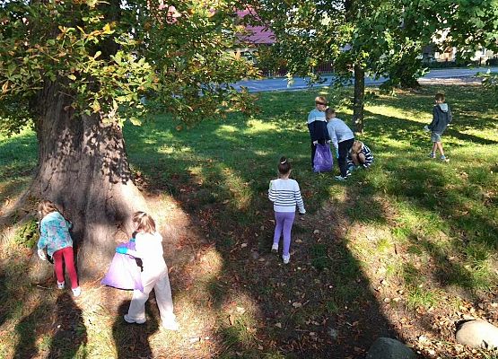 Grafika 31: Akcja Sprzątania Świata w naszej szkole