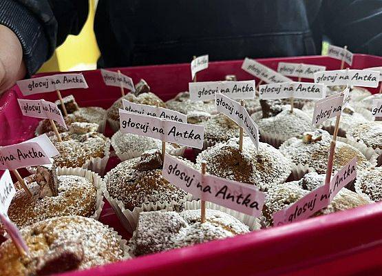 Grafika 14: Trwa kampania wyborcza do Samorządu Uczniowskiego