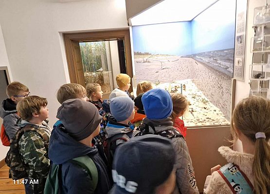 Grafika 2: Wycieczka  klas I-III do Muzeum Słowińskiego Parku Narodowego w Czołpinie