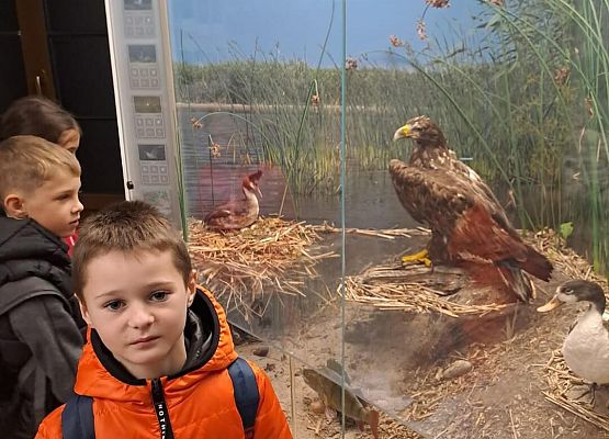 Grafika 6: Wycieczka  klas I-III do Muzeum Słowińskiego Parku Narodowego w Czołpinie