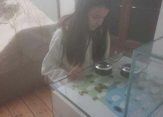 Grafika 18: Wycieczka  klas I-III do Muzeum Słowińskiego Parku Narodowego w Czołpinie