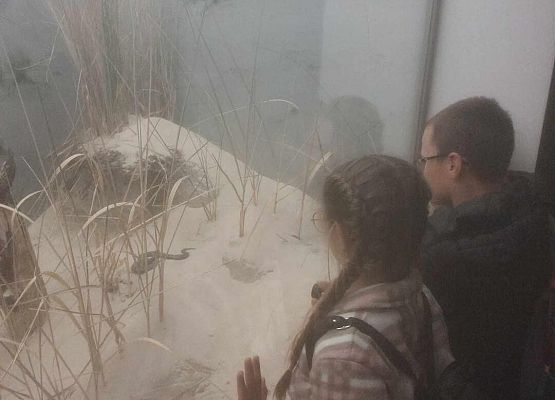 Grafika 44: Wycieczka  klas I-III do Muzeum Słowińskiego Parku Narodowego w Czołpinie