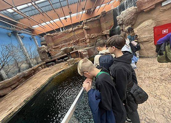 Grafika 28: Klasy piąte SP Wicko w krainie krasnali - wycieczka do Wrocławia