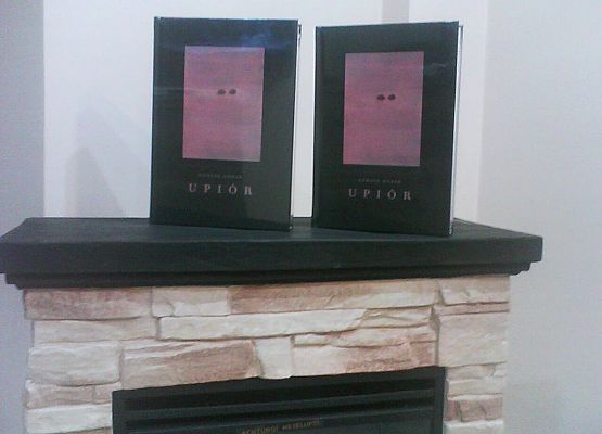 Grafika 2: Dary książkowe z Wydawnictwa Marginesy i Fundacji Evivva L’arte dla Biblioteki Szkolnej w Wicku