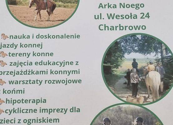 Grafika 1: Ferie w siodle z "Koniczynką"
