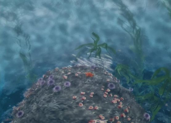 Grafika 3: Zajęcia edukacyjne w kopule