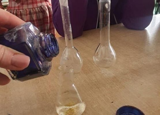 Grafika 10: Projekt „Gmina Wicko stawia na edukację” - oto, co robimy na zajęciach