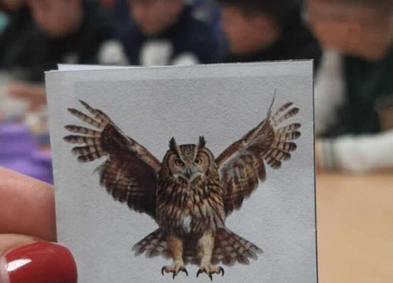 Grafika 2: Uczniowie Szkoły Podstawowej w Wicku na Nocy Sów!