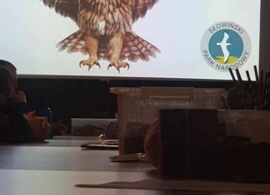 Grafika 8: Uczniowie Szkoły Podstawowej w Wicku na Nocy Sów!