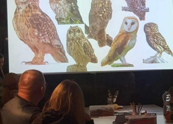 Grafika 18: Uczniowie Szkoły Podstawowej w Wicku na Nocy Sów!