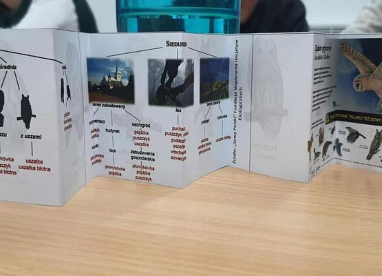 Grafika 20: Uczniowie Szkoły Podstawowej w Wicku na Nocy Sów!