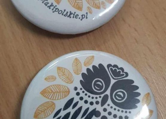 Grafika 19: Uczniowie Szkoły Podstawowej w Wicku na Nocy Sów!