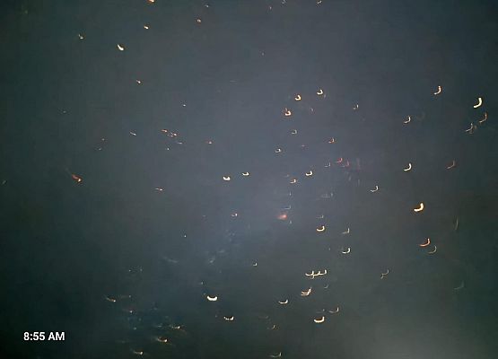 Grafika 5: Zajęcia z uczniami SP Wicko w mobilnym Planetarium z CNK z Warszawy