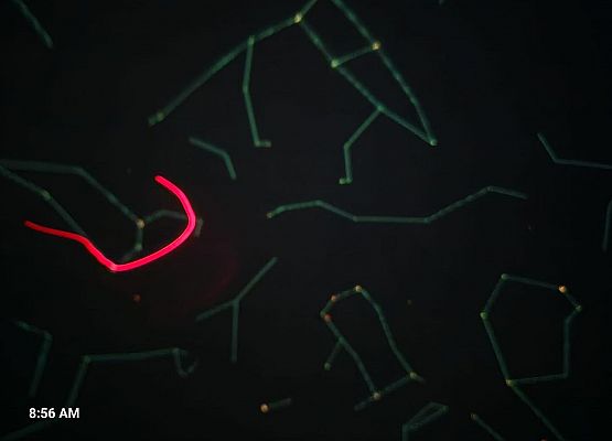 Grafika 10: Zajęcia z uczniami SP Wicko w mobilnym Planetarium z CNK z Warszawy