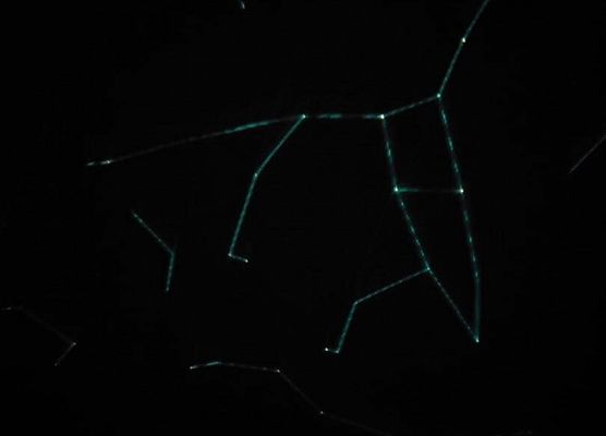 Grafika 18: Zajęcia z uczniami SP Wicko w mobilnym Planetarium z CNK z Warszawy