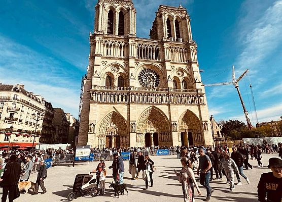 Grafika 20: Fotorelacja z Paryża