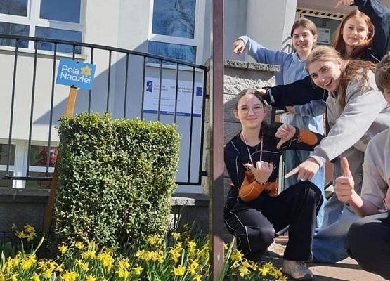 Grafika 1: Pola Nadziei zakwitły! 