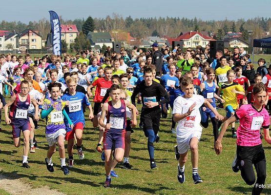 Grafika 2: Antek Drzazgowski IV w wojewódzkim biegu