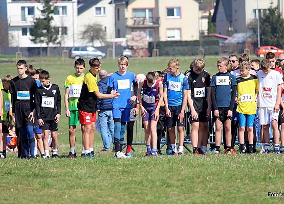 Grafika 4: Antek Drzazgowski IV w wojewódzkim biegu