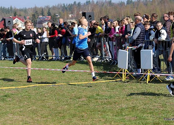 Grafika 6: Antek Drzazgowski IV w wojewódzkim biegu