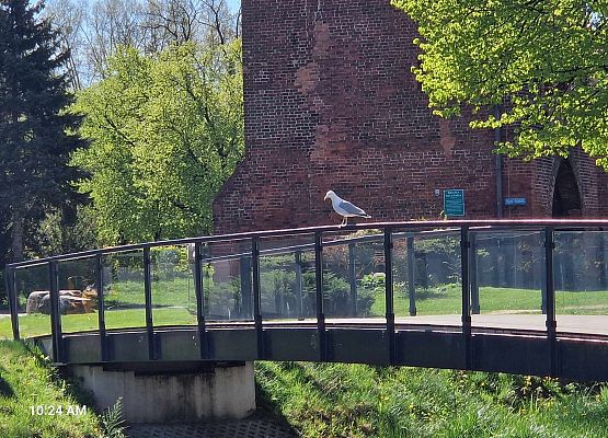 Grafika 18: Wyjazd do Słupsk klas I-III