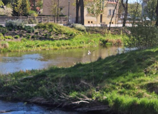 Grafika 34: Wyjazd do Słupsk klas I-III