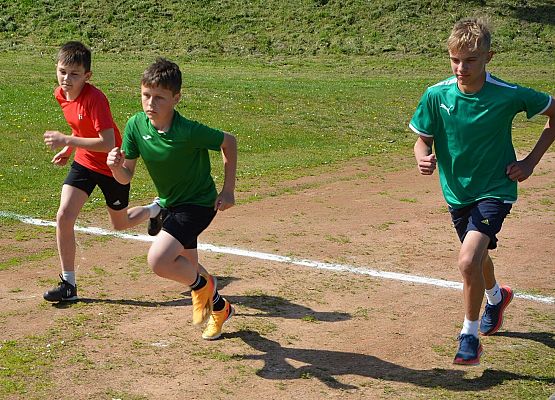 Grafika 1: Bieg Krasnala w Charbrowie