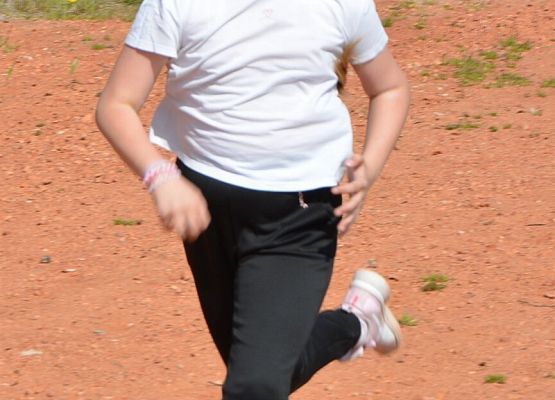 Grafika 4: Bieg Krasnala w Charbrowie