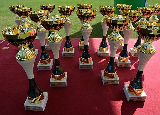 Grafika 19: Bieg Krasnala w Charbrowie