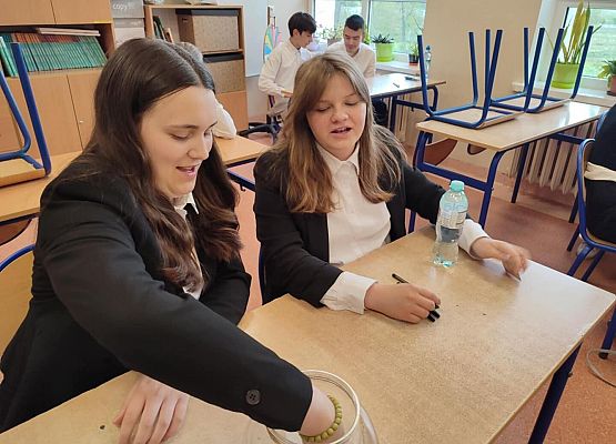 Grafika 12: Egzamin klas VIII z języka polskiego