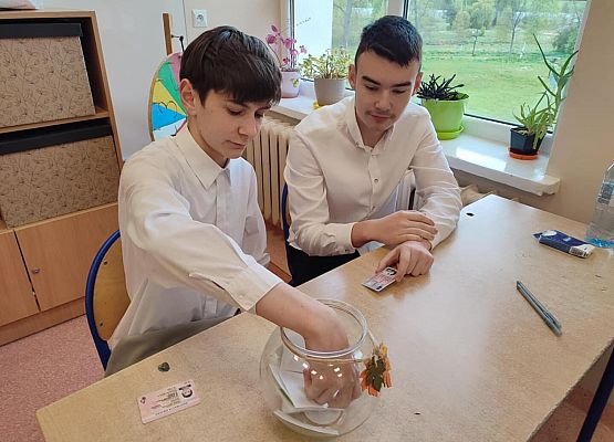 Grafika 17: Egzamin klas VIII z języka polskiego