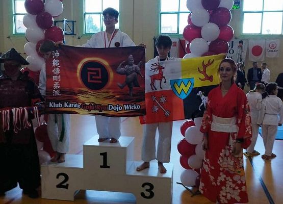 Grafika 15: Sukcesy naszych uczniów w IX Ogólnopolskich Zawodach Karate