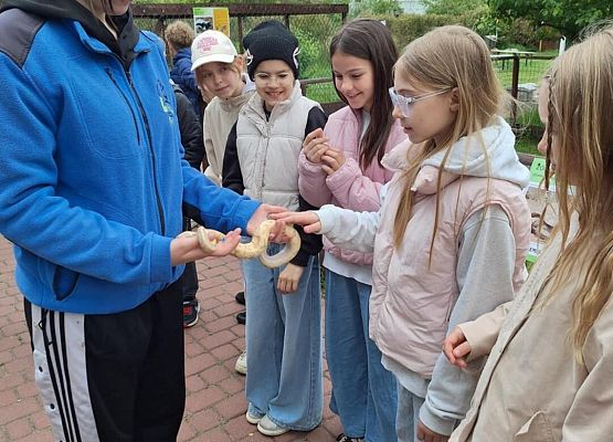 Grafika 3: IIIA w Lemur Parku w Rumi