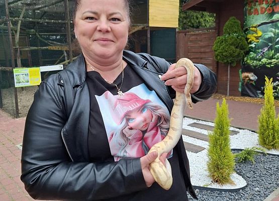 Grafika 8: IIIA w Lemur Parku w Rumi