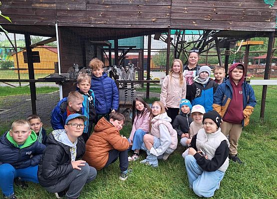 Grafika 12: IIIA w Lemur Parku w Rumi